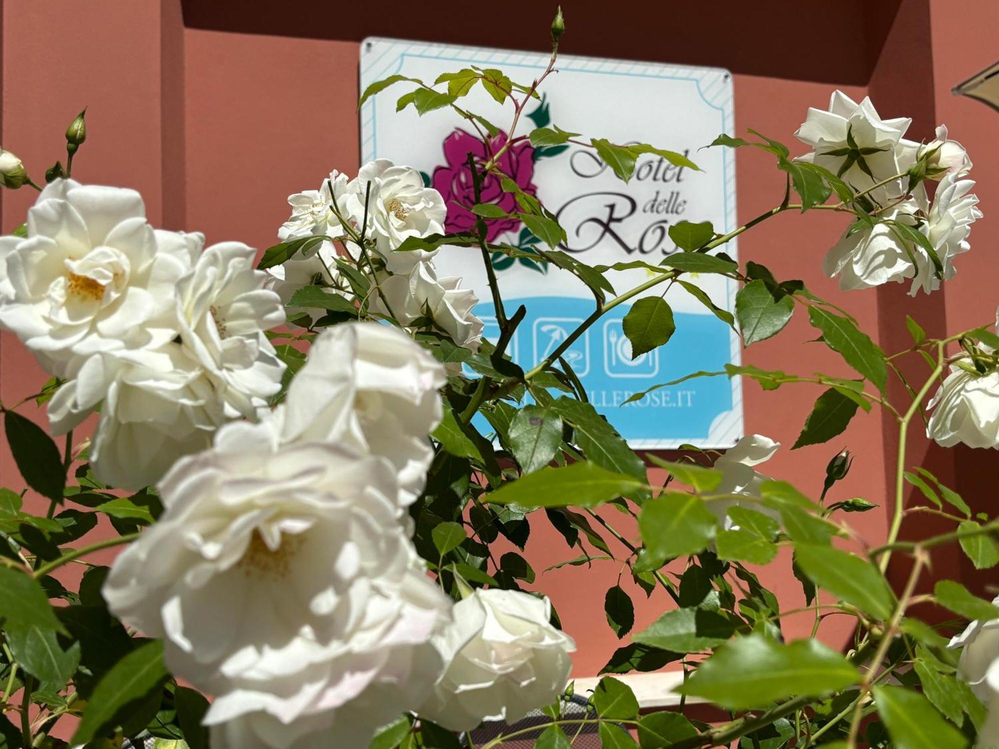 Hotel Delle Rose San Bartolomeo Al Mare Dış mekan fotoğraf